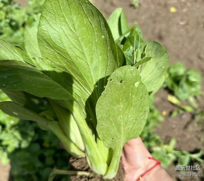 【去有風(fēng)的地方】自給自足