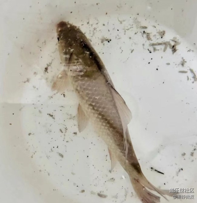 【去有風(fēng)的地方】自給自足