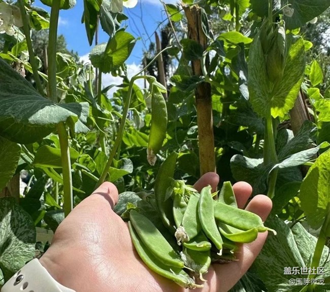 【去有風(fēng)的地方】自給自足