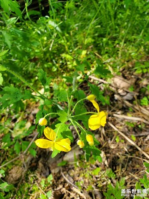 【快樂假日】+ 山中雜記