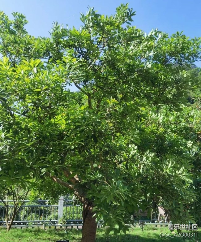 【去有風的地方】去山里