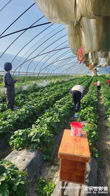 【快樂假日】+?假日出行日記