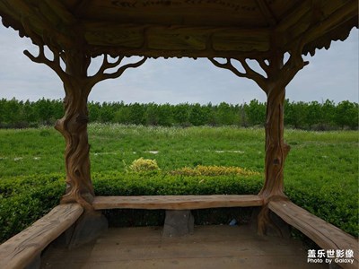 【快樂(lè)假日】放松心情