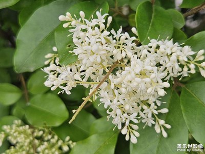 【快樂假日】+假日的快樂