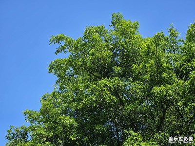 【快樂假日】+萬里無云