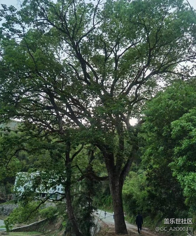 【去有風的地方】去山里