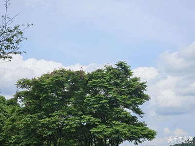 【快樂假日】+假日生活