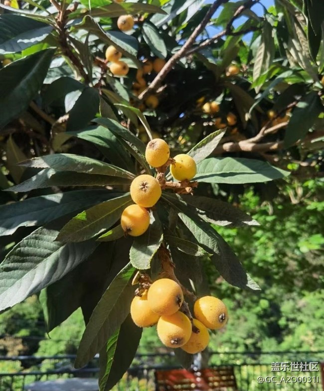 【去有風的地方】去山里