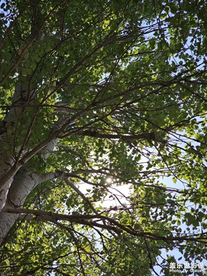 【快樂假日】快樂假日