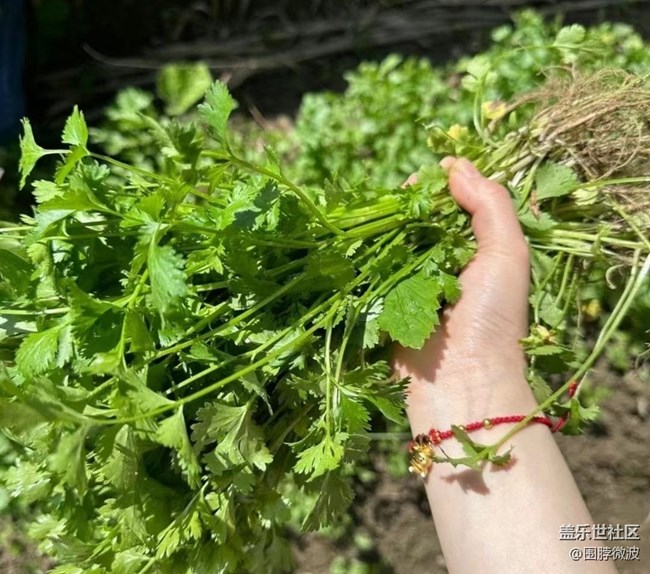 【去有風(fēng)的地方】自給自足