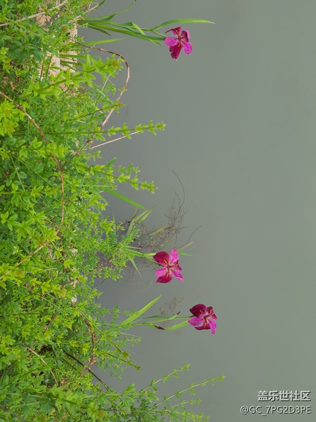 【去有風(fēng)的地方】+戶外景色