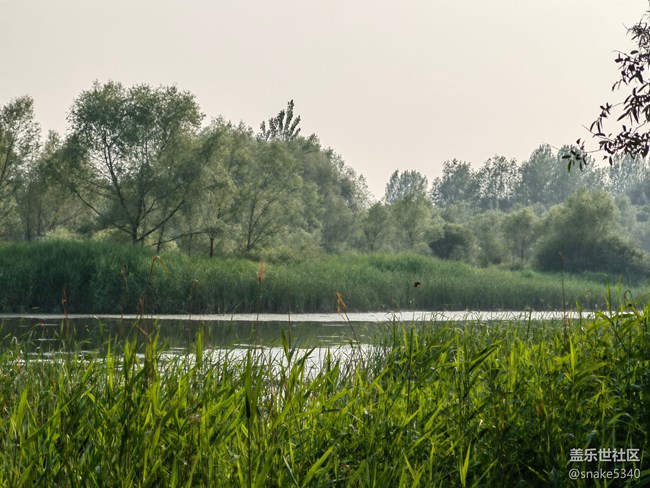 【詩畫沈城】+ 青綠的草地