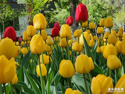 【春深夏淺】+美好的日子