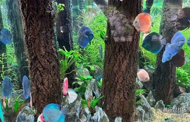 【說(shuō)走就走的旅行】水族館