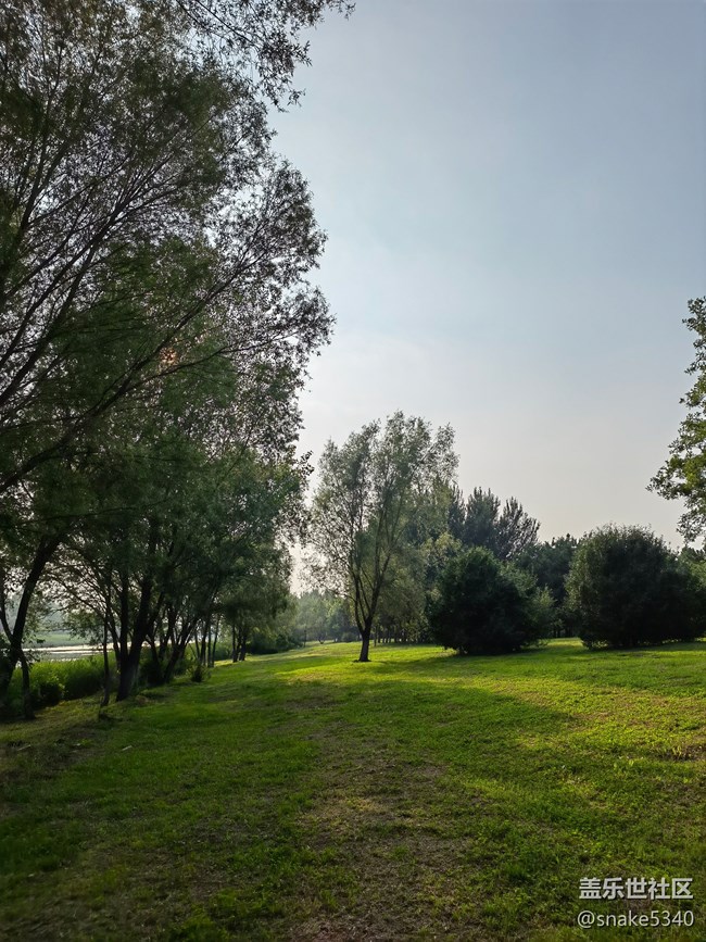 【詩畫沈城】+ 青綠的草地