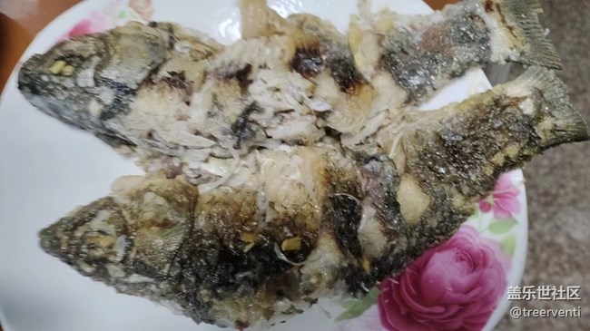 【五一美食匯】一人吃飯