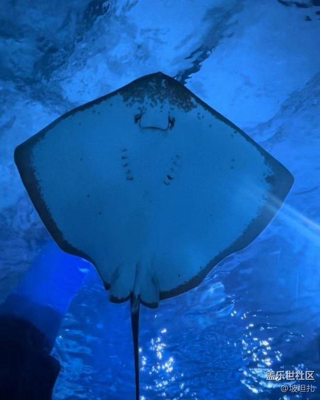 【說(shuō)走就走的旅行】水族館