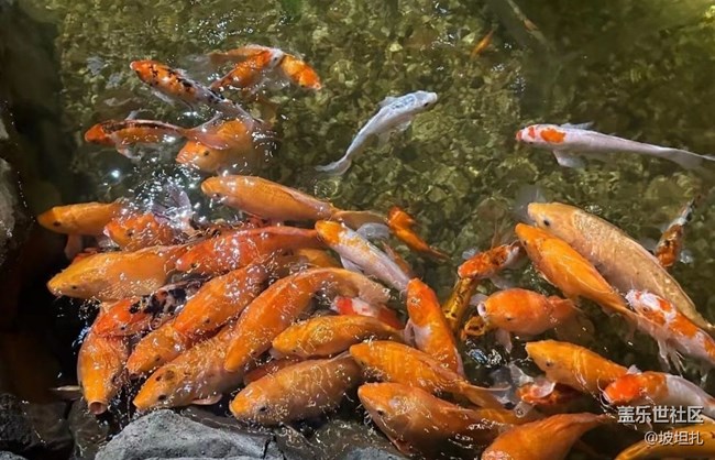 【說(shuō)走就走的旅行】水族館