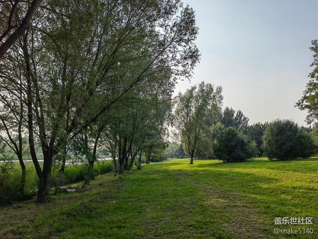 【詩畫沈城】+ 青綠的草地