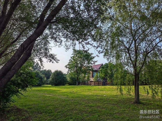 【詩畫沈城】+ 青綠的草地