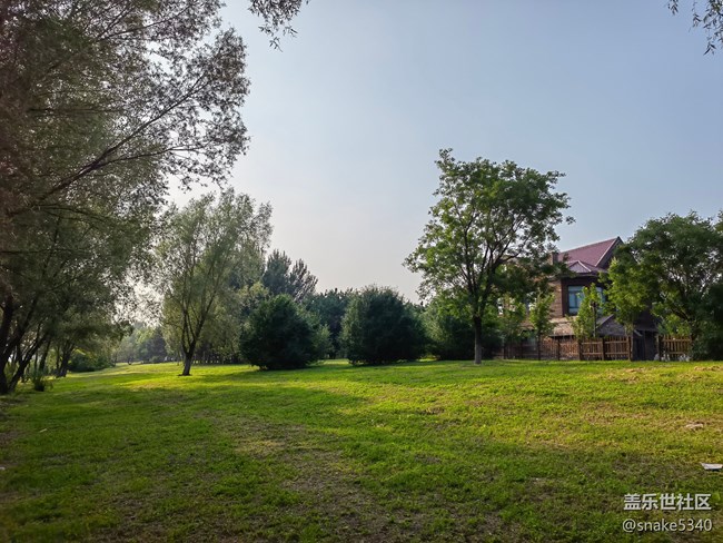 【詩畫沈城】+ 青綠的草地