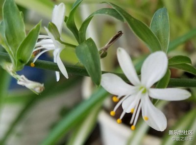 春天太快了，都有點(diǎn)熱了