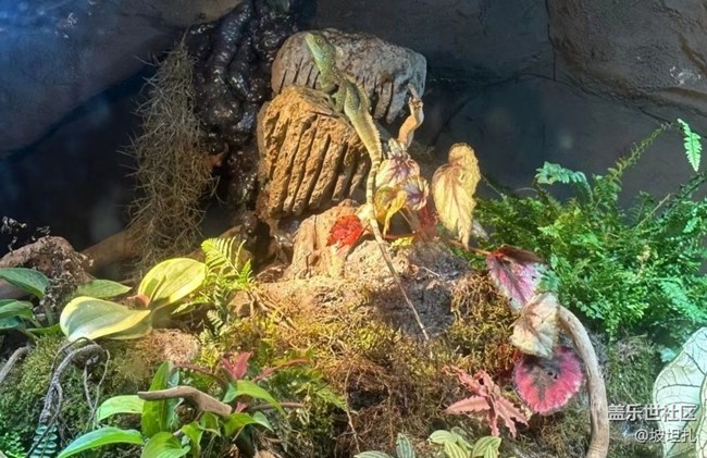 【說(shuō)走就走的旅行】水族館