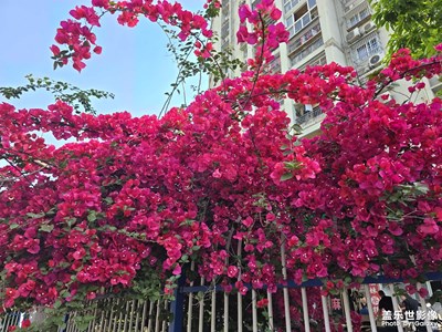 【春深夏淺】+快樂出行