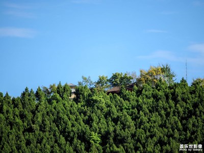 還是非假期出去