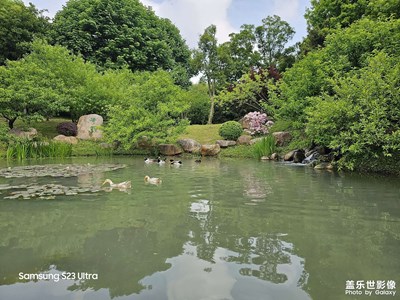 【春深夏淺】+遛娃賞景