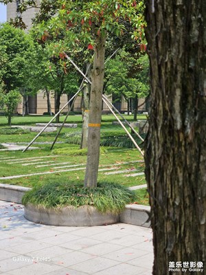 【春深夏淺】公園漫步