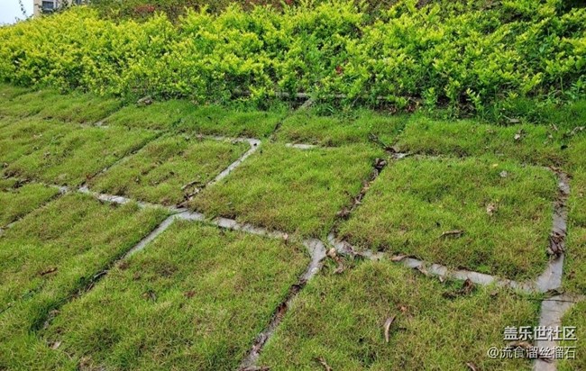 【記錄每一幀】草坪