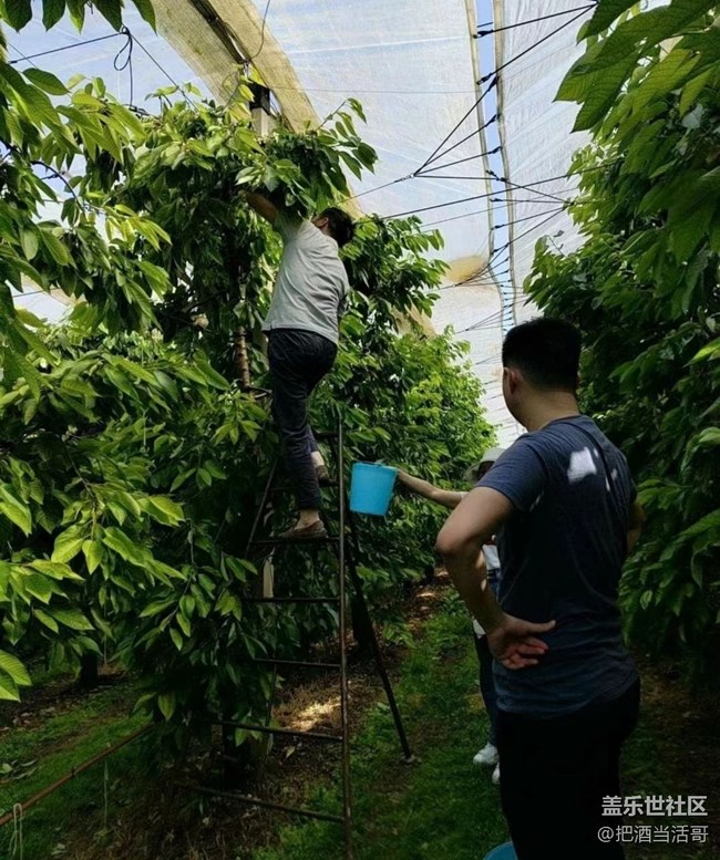 【記錄每一幀】采摘