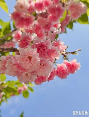 【春深夏淺】+浪漫的季節(jié)