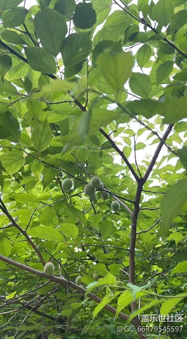 【去有風的地方】小區(qū)