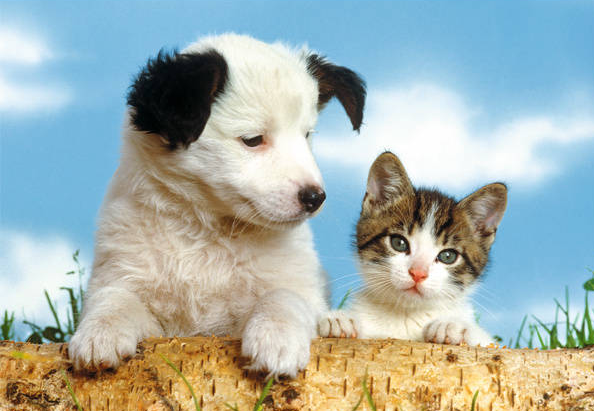 【5月招募帖】五月無(wú)錫星部落線上活動(dòng)報(bào)名啦！