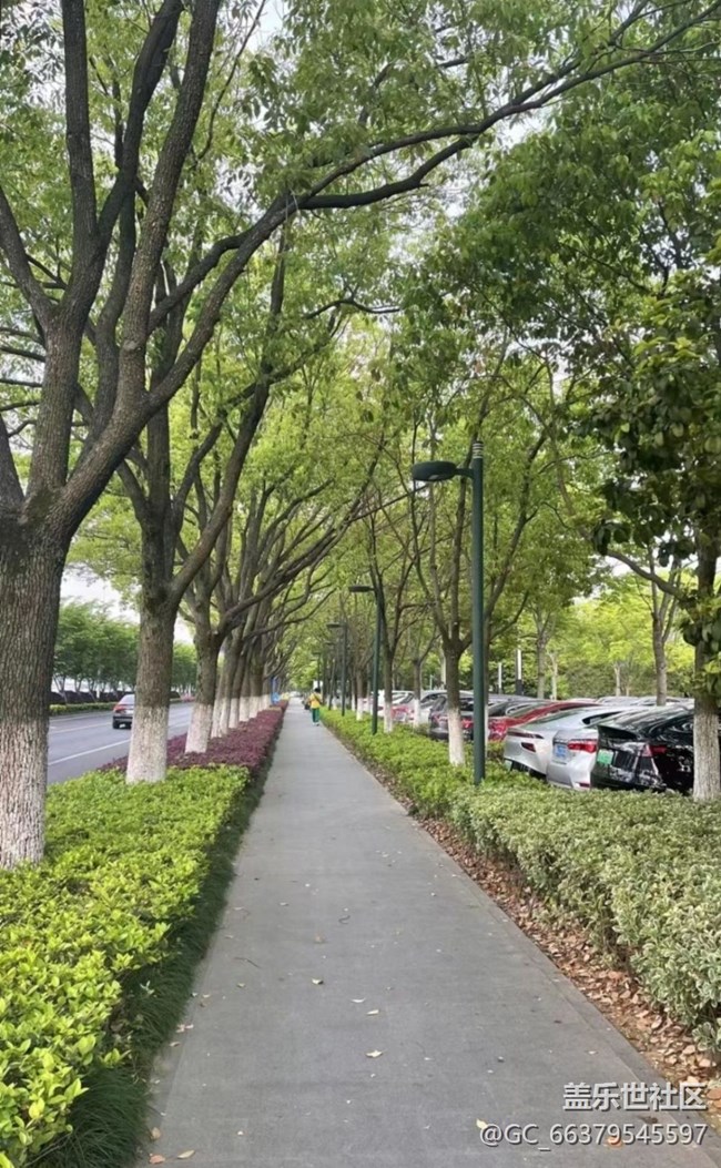 【去有風的地方】小區(qū)