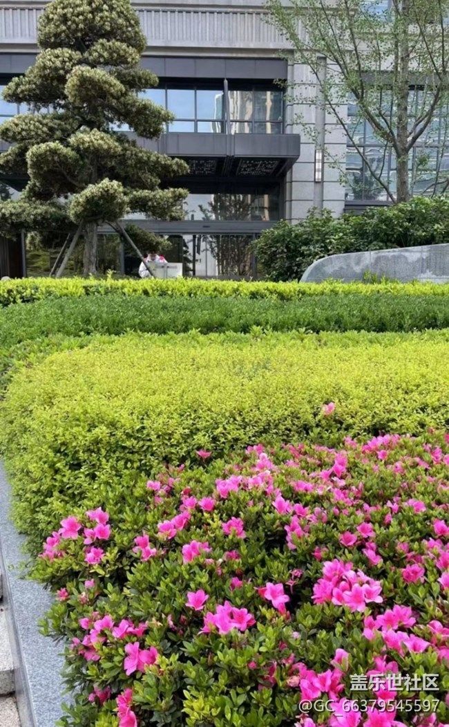 【去有風的地方】小區(qū)