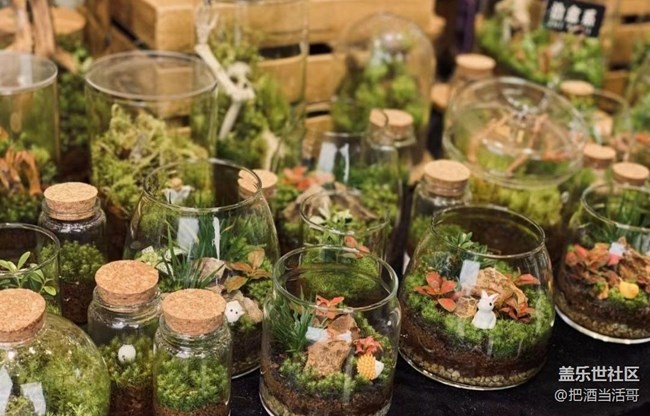 【去有風的地方】接娃