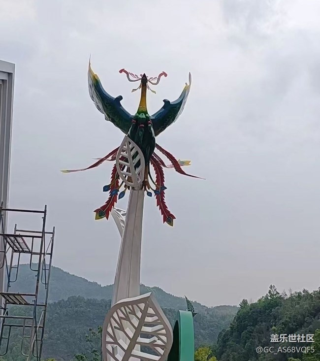 【去有風的地方】鳳凰展翅