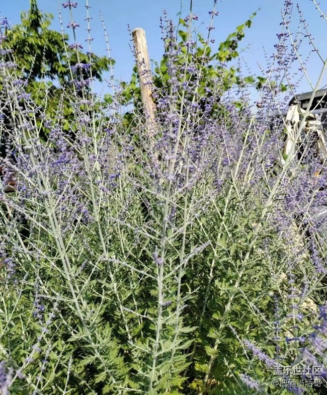 【記錄每一幀】采摘