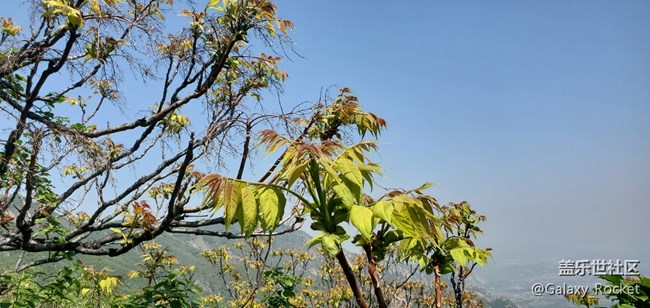 【捕捉初夏之美】初夏山野
