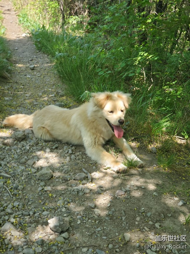 【捕捉初夏之美】初夏山野