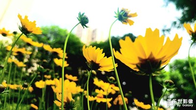 【春深夏淺】+春末夏至