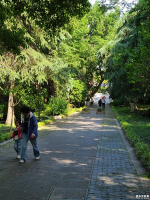 【春深夏淺】+假期出行