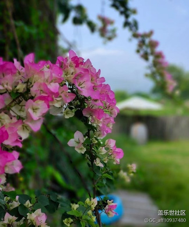 【記錄每一幀】路過拍