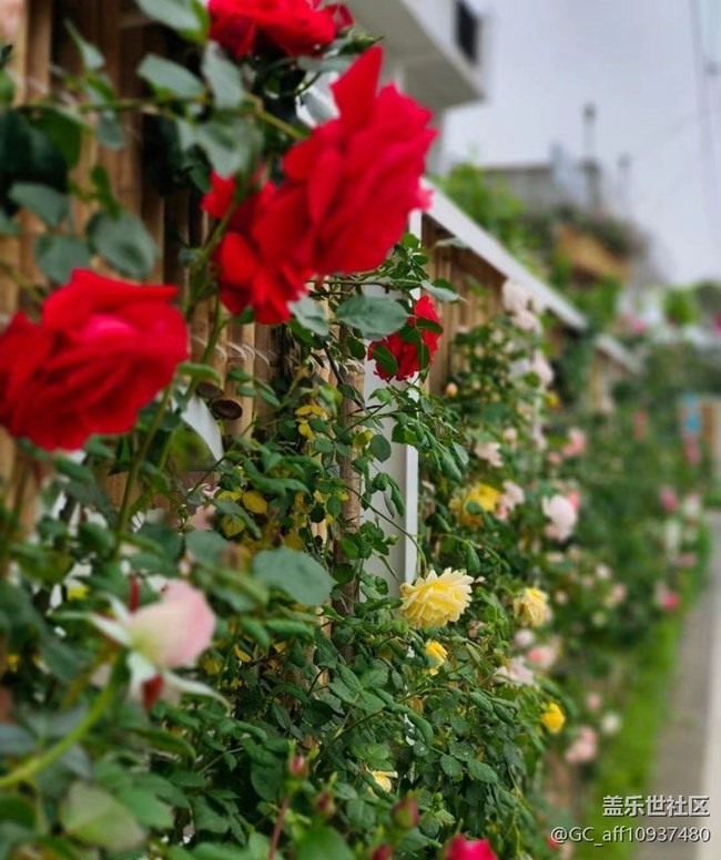 【記錄每一幀】路過拍