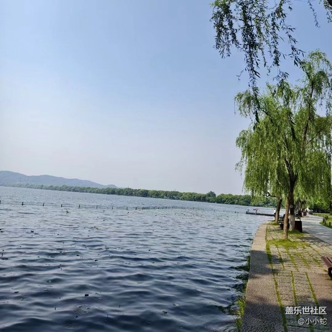【我的旅行日記】西湖一日游