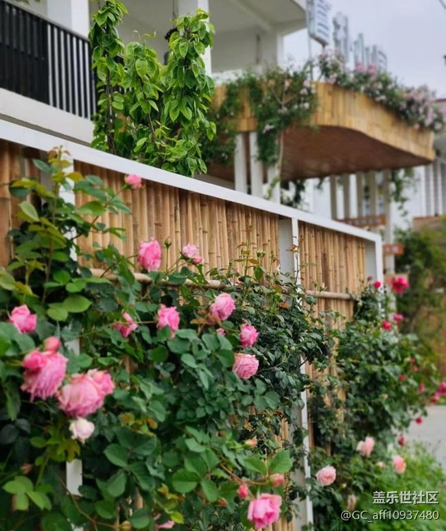 【記錄每一幀】路過拍