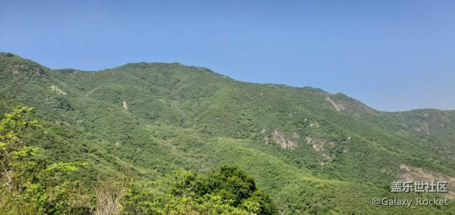 【捕捉初夏之美】初夏山野